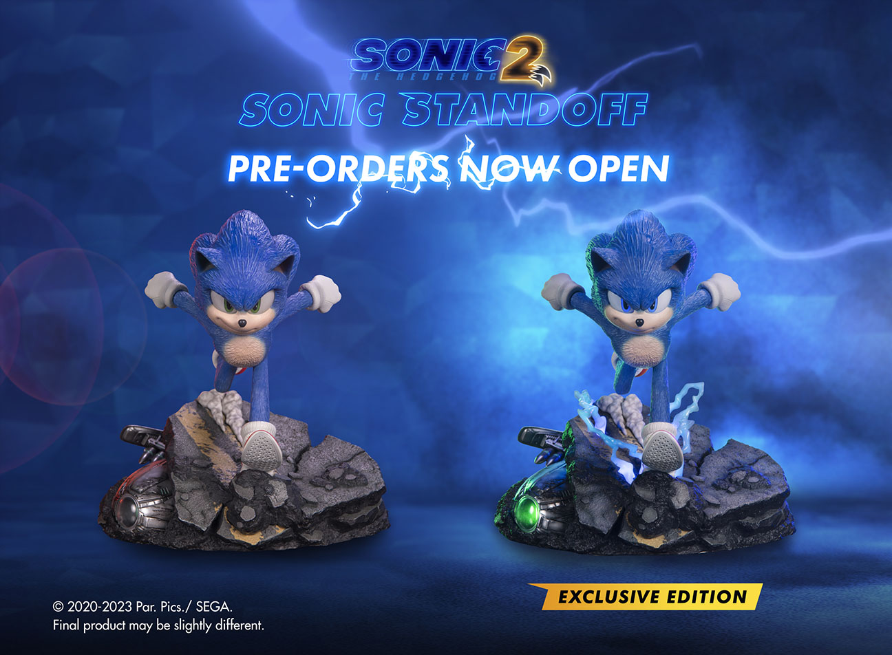 Buy SEGA Sonic Adventure 2 Battle Acrylic Pin Sonic the Hedgehog Online in  India 